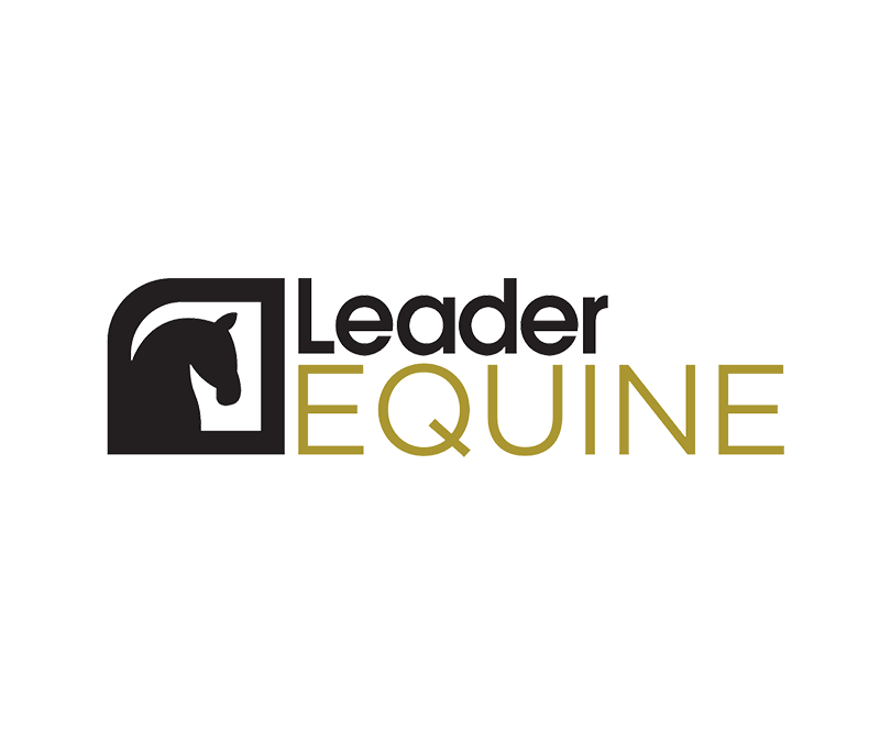 Leader Equine